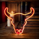 Decorative Neon Light – Modern Glow for Home, Events & Gifts